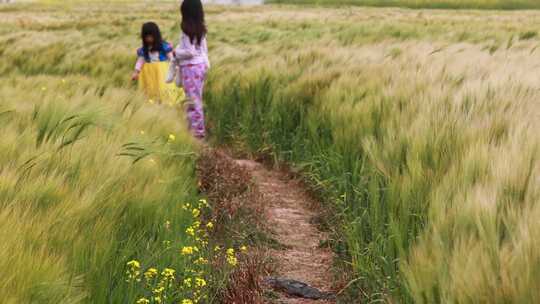 小女孩麦田中奔跑