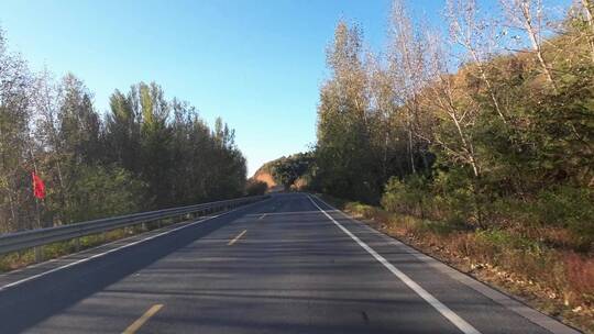 秋天城市道路开车第一视角  记录仪视角