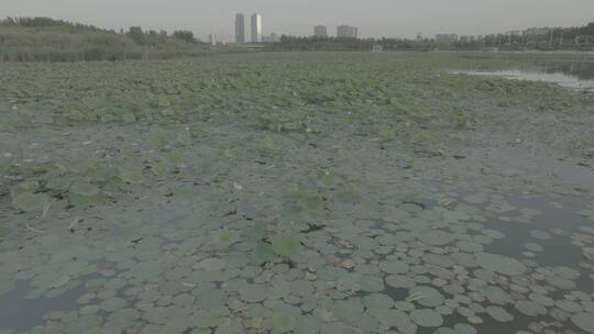 宁夏览山公园视频素材模板下载