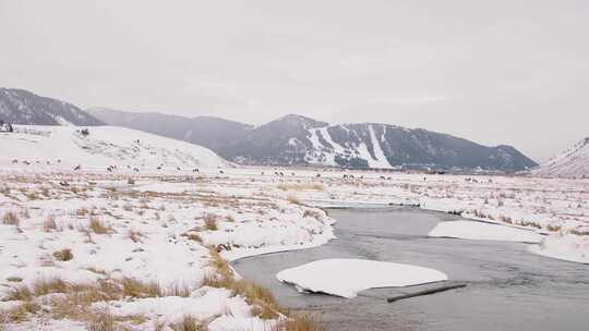 雪，山，草，湖