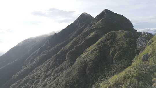 森林湖泊云海山川山脉云雾缭绕 青山绿水