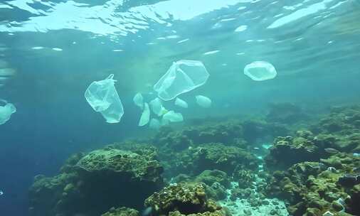 海底珊瑚礁处漂浮着许多白色塑料袋