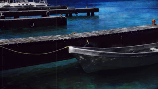 海豚船在水上漂浮着视频素材模板下载