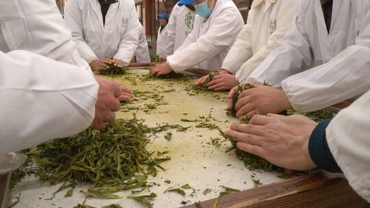 名茶湖北恩施州非遗技艺手工茶玉露茶蒸青茶