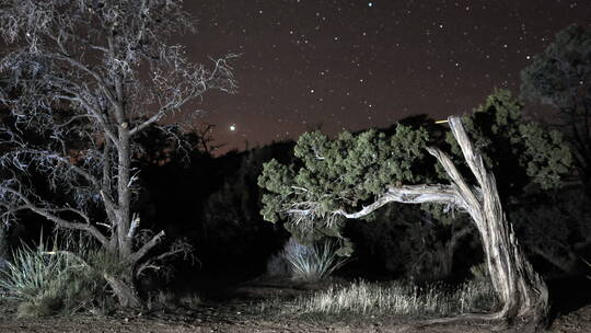 莫哈韦沙漠中的星星视频素材模板下载