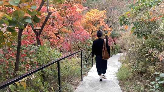 山东淄博博山柿岩古村，秋季满山红叶景观