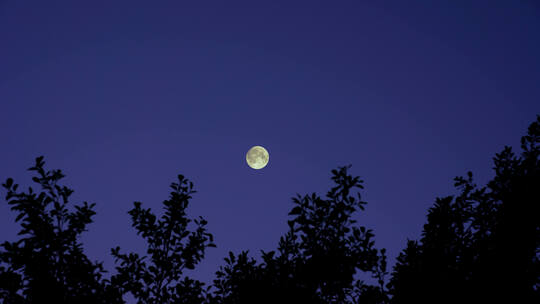 树林月亮【32组合集】晚霞风景森林天黑月亮