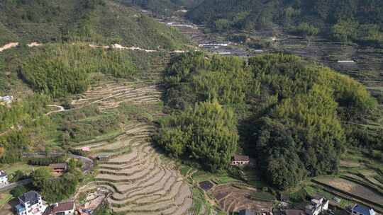 丽水遂昌山村