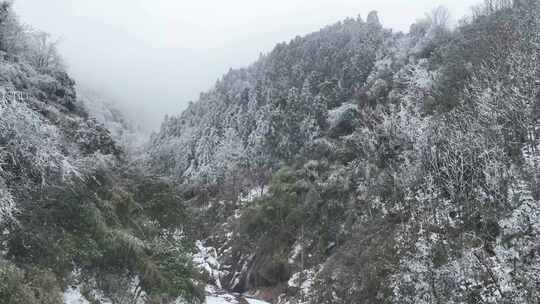 被雪覆盖的山林自然景象