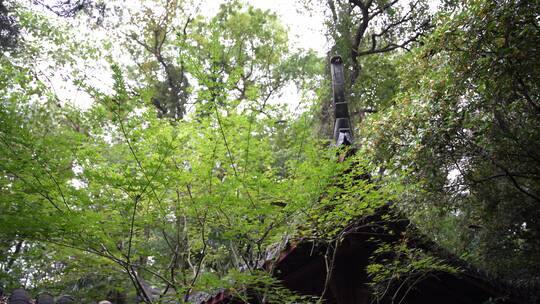 杭州西湖景区岳王庙建筑