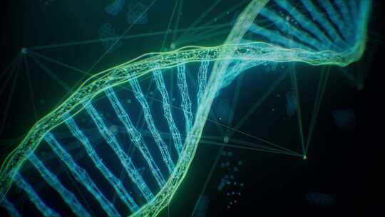 科技信息化数据DNA