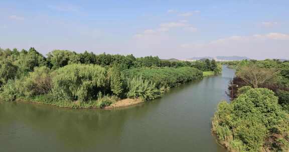 苏州太湖湿地国家森林公园自然风光宣传片