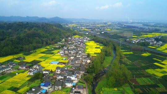 航拍美丽农村油菜花地中国四川新农村