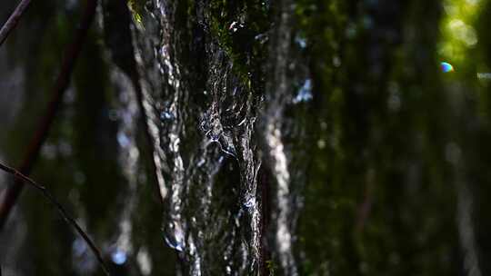 沕沕水 沕沕水景区 沕沕水五龙潭