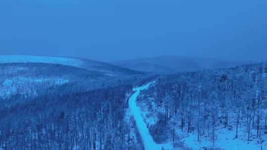 航拍晨曦蓝调林海雪原