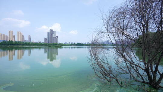 武汉市汉阳区墨水湖公园