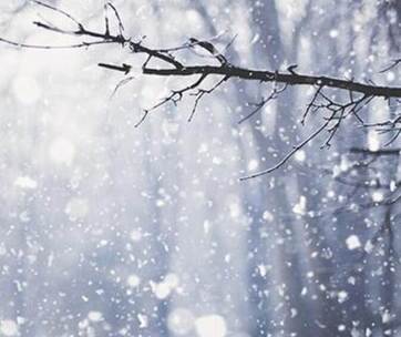 雪花落雪之声下雪纷纷雪花声音 雪花落雪之声下雪纷纷雪花声音