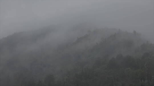 旅游景区 安徽黄山春季雨景 烟雨朦胧