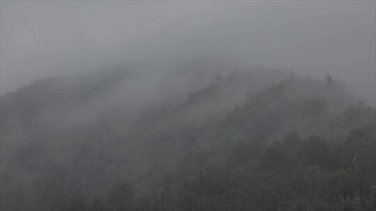 旅游景区 安徽黄山春季雨景 烟雨朦胧视频素材模板下载