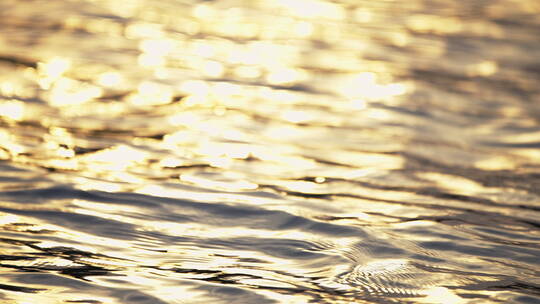 金色水面湖面波光粼粼江面湖水河流黄昏波光