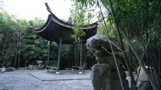 杭州西湖景区植物园