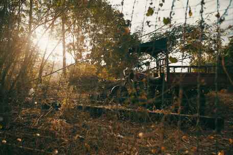 太阳雨下的林中废旧摩托