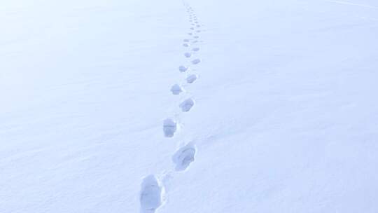 白雪中的人类脚印。