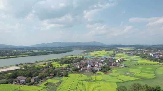 湖南衡东县乡村田野油菜花自然风光航拍4k