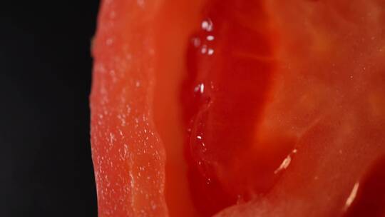 微距番茄种子番茄果肉