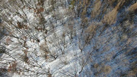 航拍大雪覆盖下的长白山