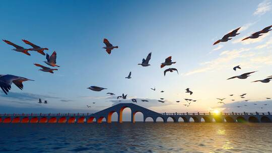 4K 夕阳码头海鸥飞舞盘旋慢镜头