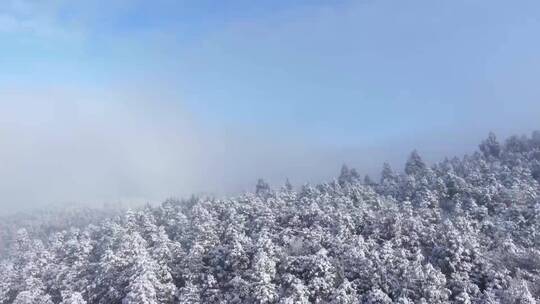 南天湖雪景