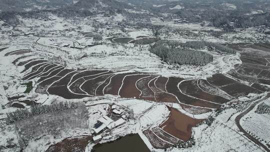 南方农田冬天雪景