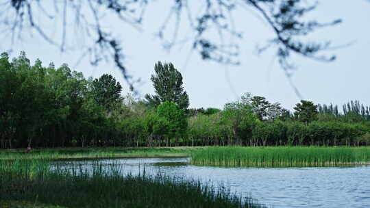 夏天立夏夏至唯美风景白云天空