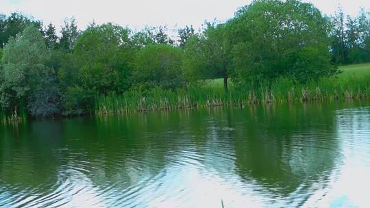 美丽的湖泊自然风光特写镜头