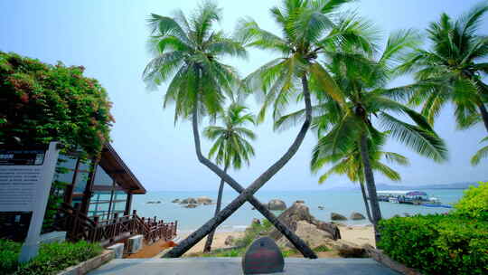 海边沙滩椰树