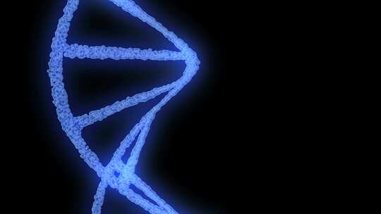 DNA旋转。DNA结构分子旋转。