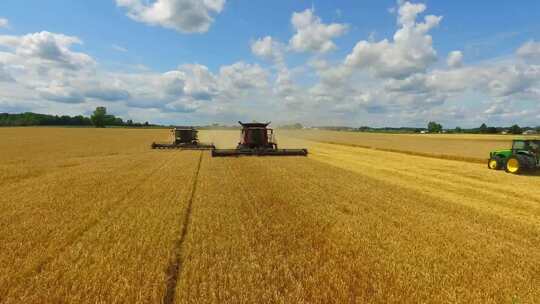 航拍全自动机械化小麦丰收
