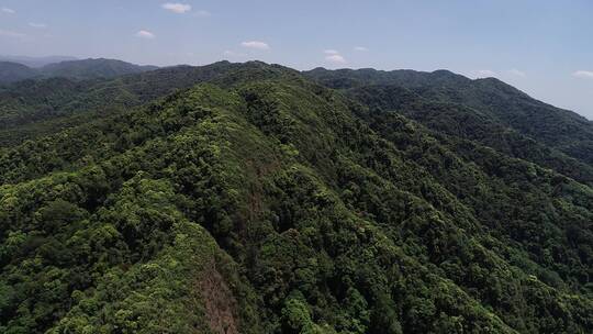 哀牢山原始森林航拍 原素材