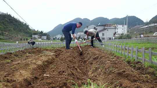 劳动空镜刨土锄地农场工人耕作劳作翻土