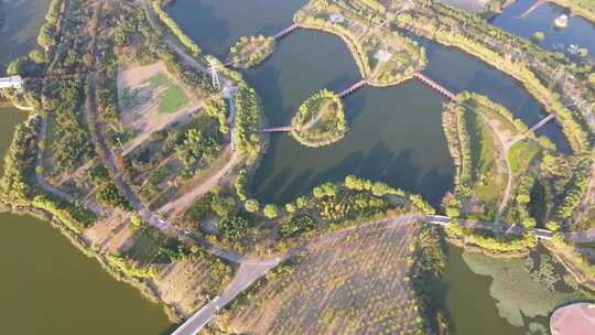 金乡金水湖城市湿地公园绿化宣传片航拍视频素材模板下载