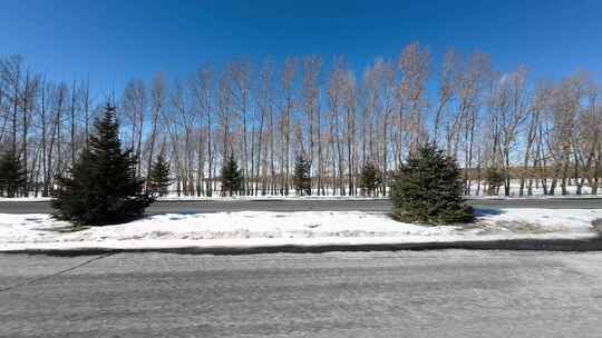 开车行驶在雪后公路 车窗外雪景