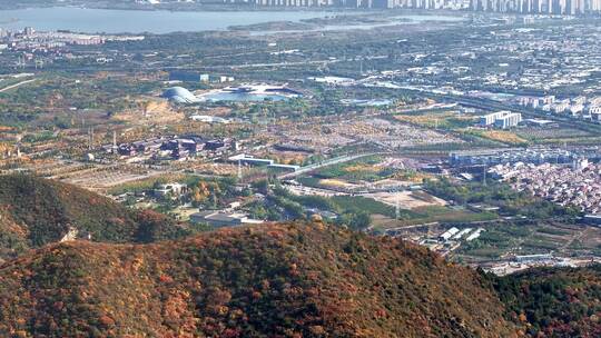 秋日红叶森林航拍满山红叶