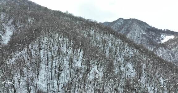 佐治亚州帕萨诺里美丽雪山的鸟瞰图
