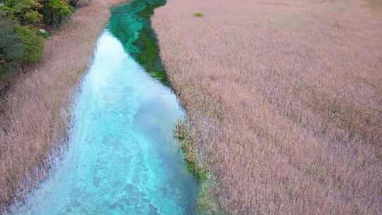 唯美航拍川西九寨沟芦苇海河流湿地湖水彩林