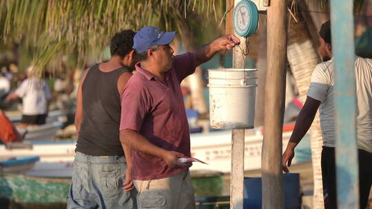 岸上的渔民视频素材模板下载