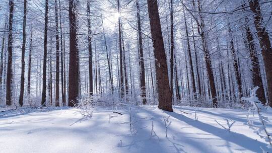 6k冬天山川树林冰雪延时摄影