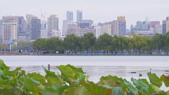 杭州西湖白堤风景