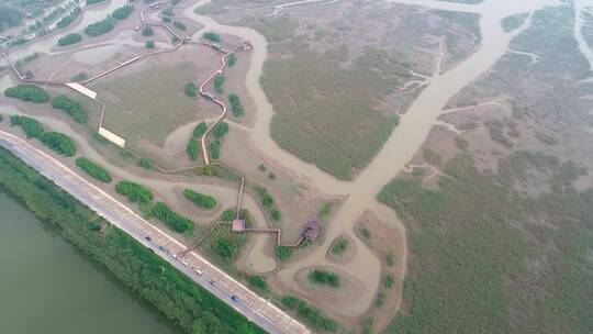 航拍长江口福姜沙双山岛湿地