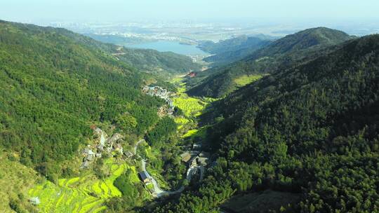 大山梯田